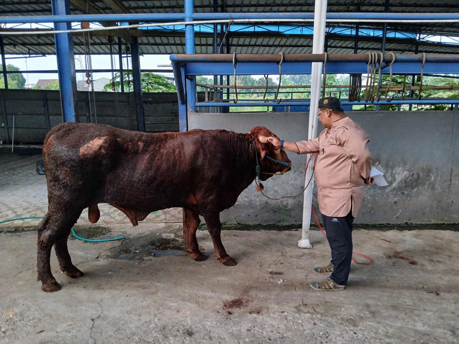 Hari Raya Idul Adha 1447 H / 2026